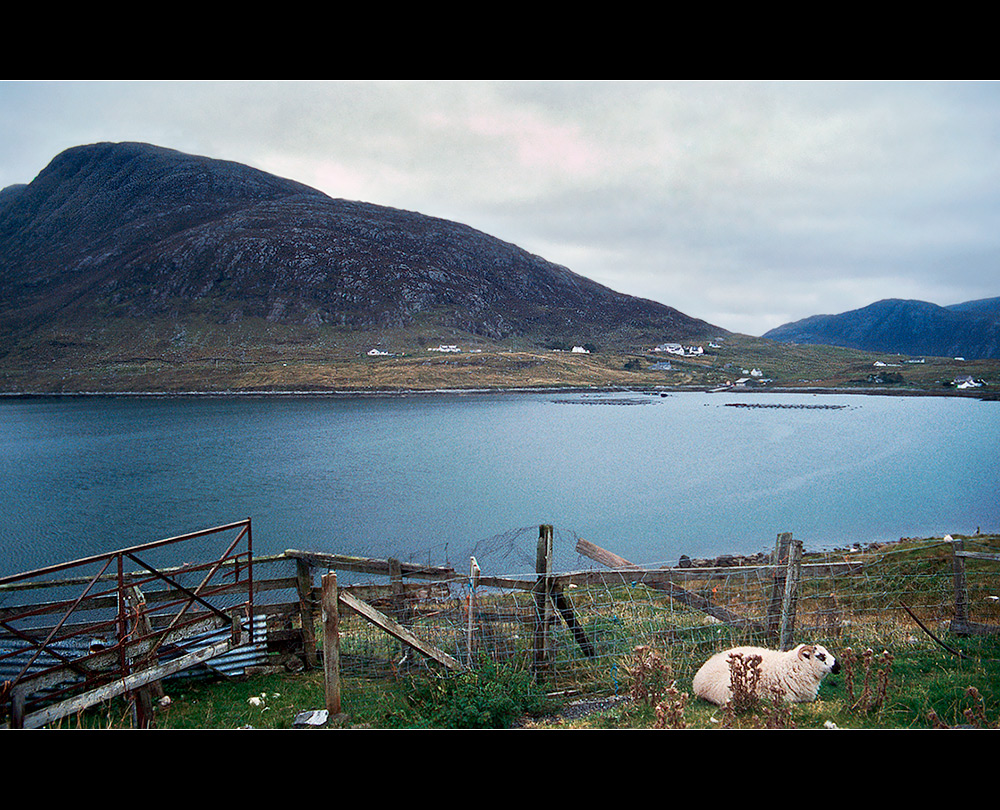 View back to Ardhasaig