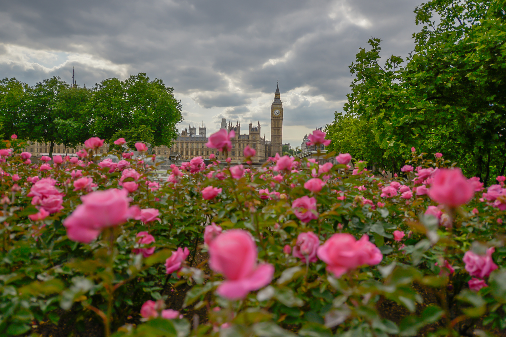 View Flowers