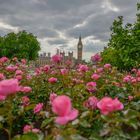 View Flowers