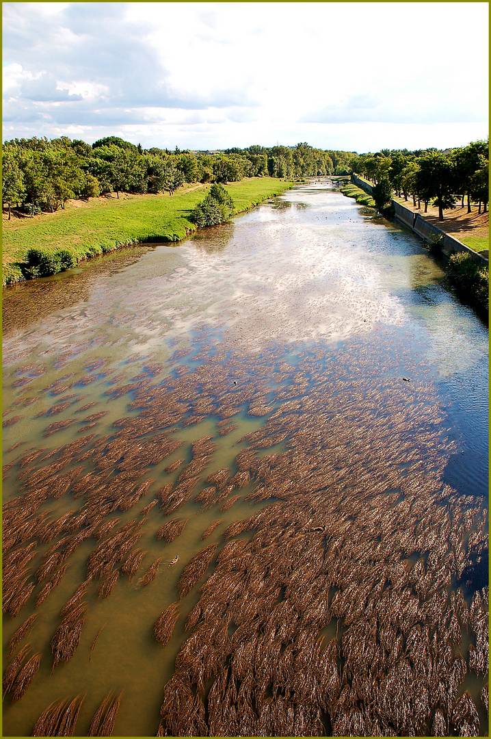 view from a bridge