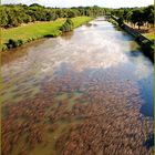 view from a bridge