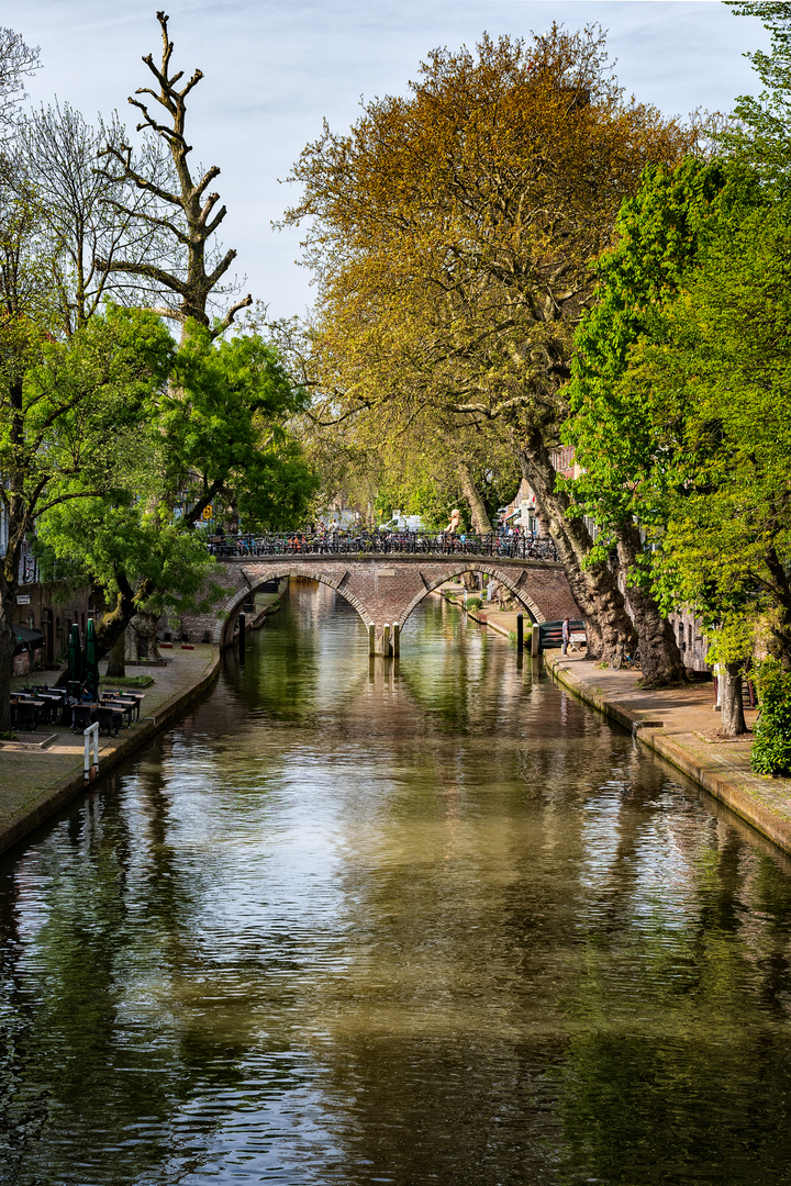 .. view from a bridge II ...