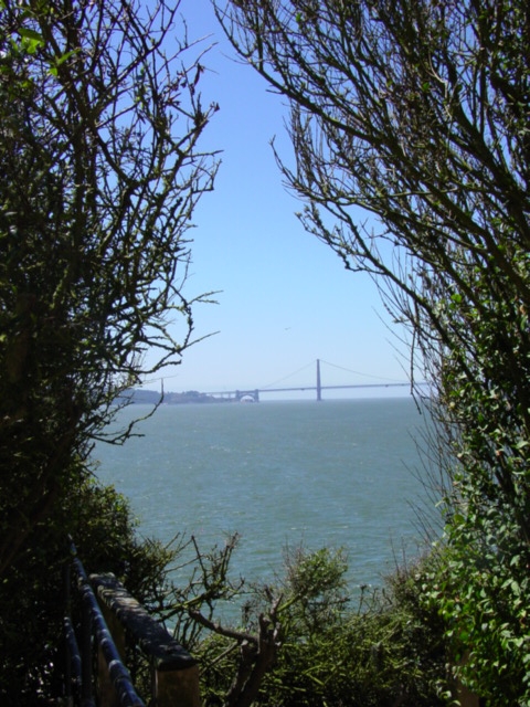 View from Alcatraz, California 2004