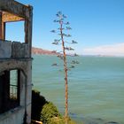 View From Alcatraz Island