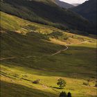 View from Ardlui