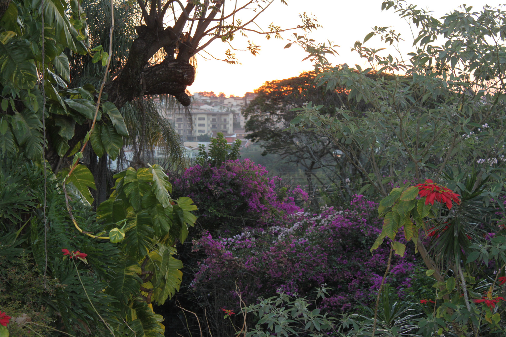 View from balcony