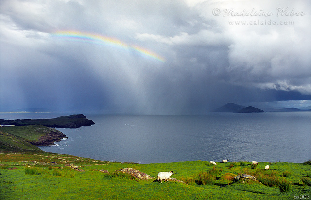 View from Bolushead, Ballinskelligs :: Fotos aus Irland, County Kerry