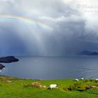 View from Bolushead, Ballinskelligs :: Fotos aus Irland, County Kerry