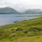 View from Brandon Point