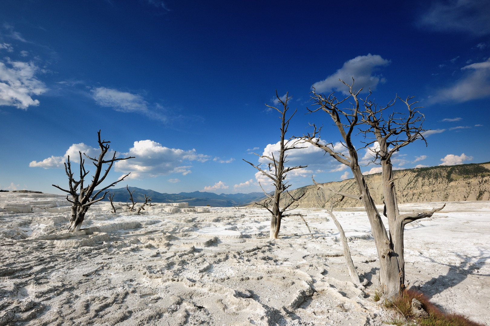 VIEW FROM CANARY SPRING