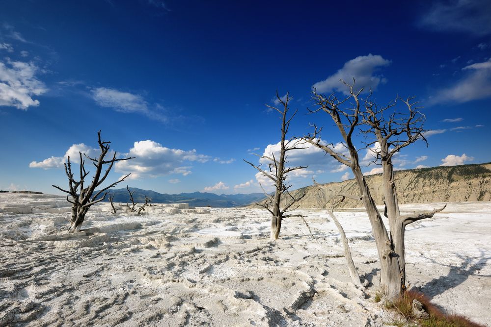 VIEW FROM CANARY SPRING