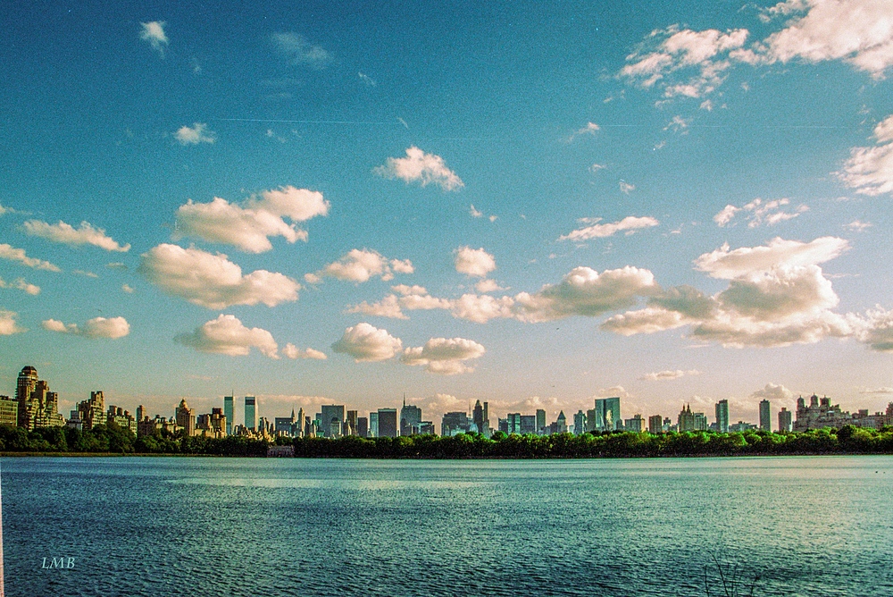 View from Central Park