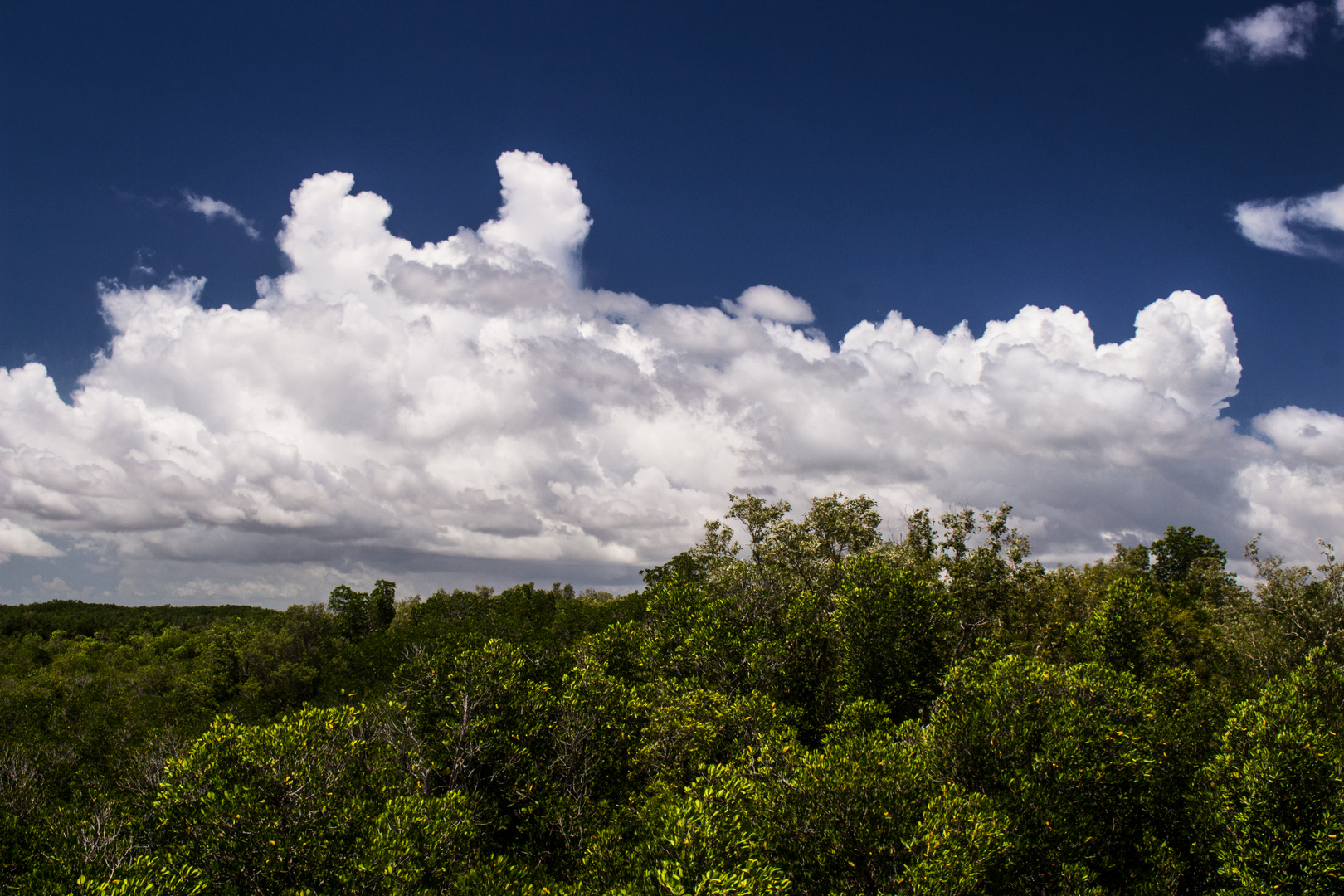 View from Channel Island Bridge