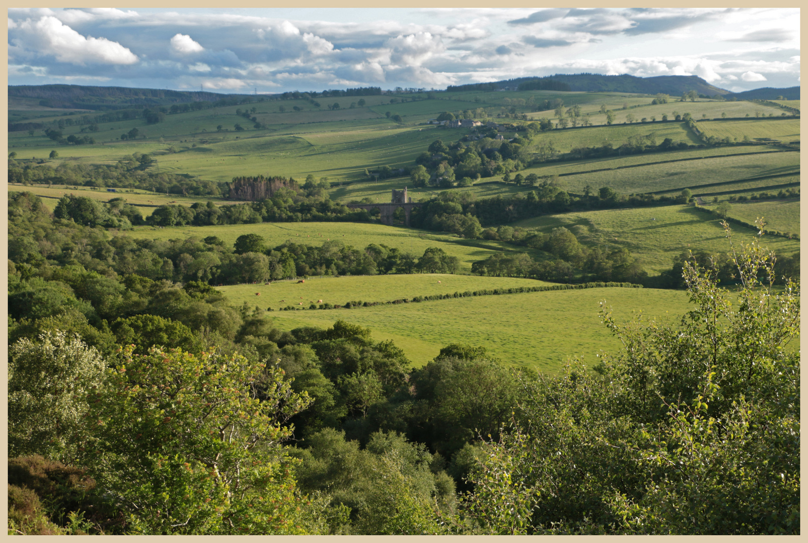 view from corbys crags 2