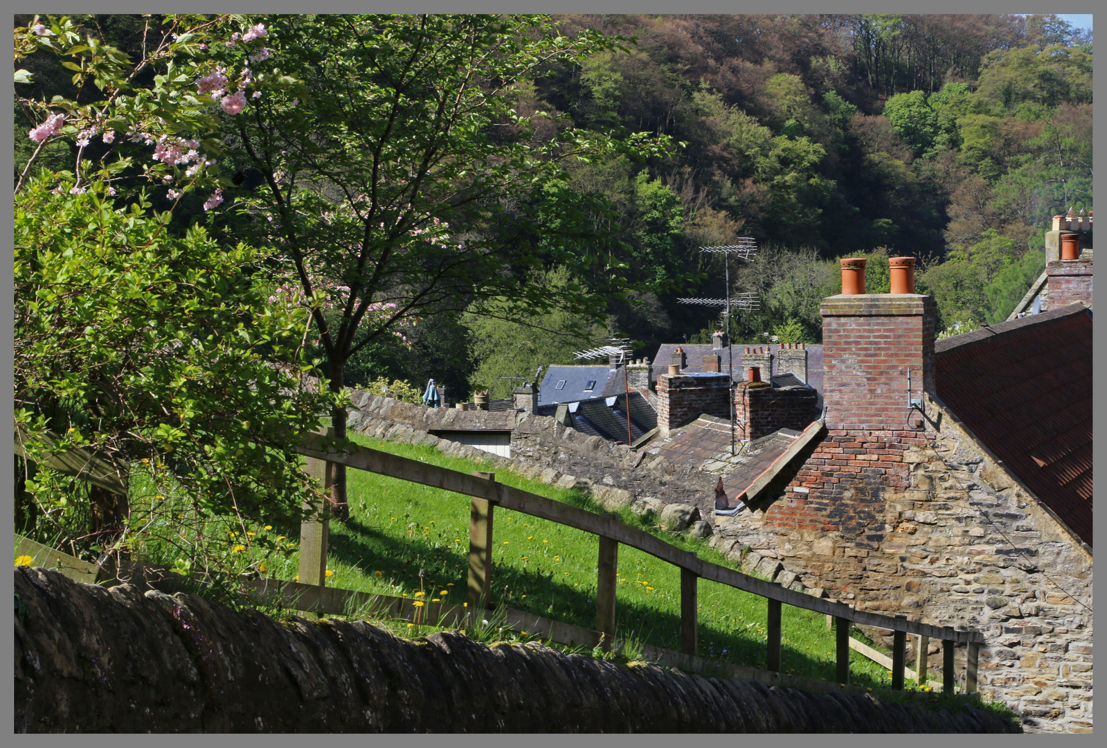 view from cornforth hill