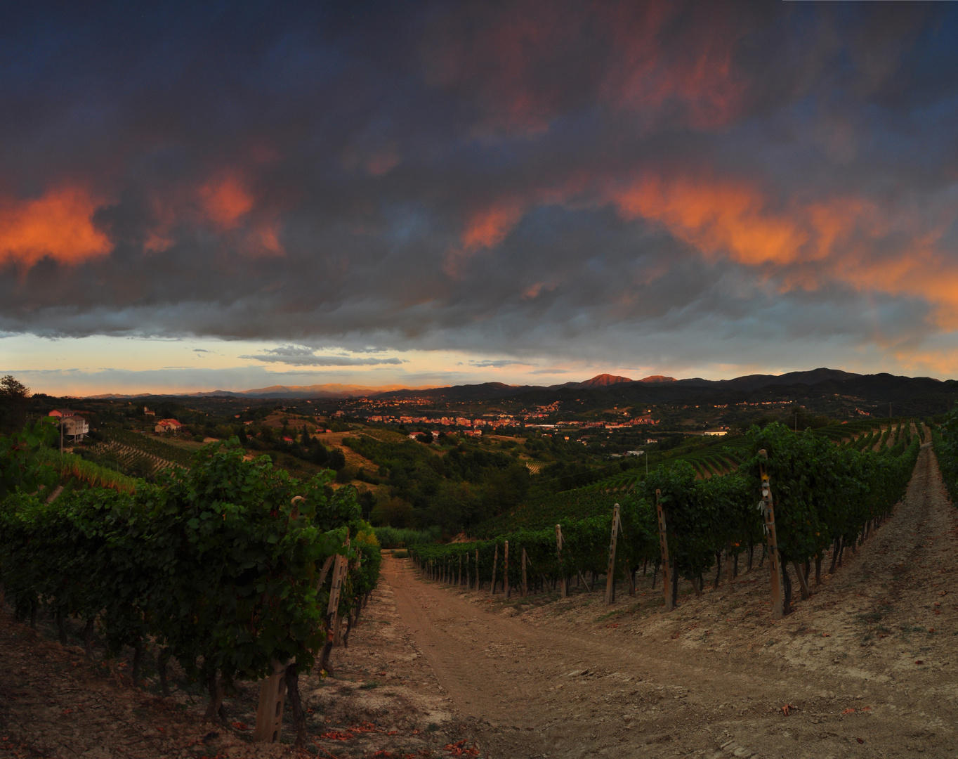 View from Cremolino0s vineyards, September 2011. Vista dai vigneti di Cremolino