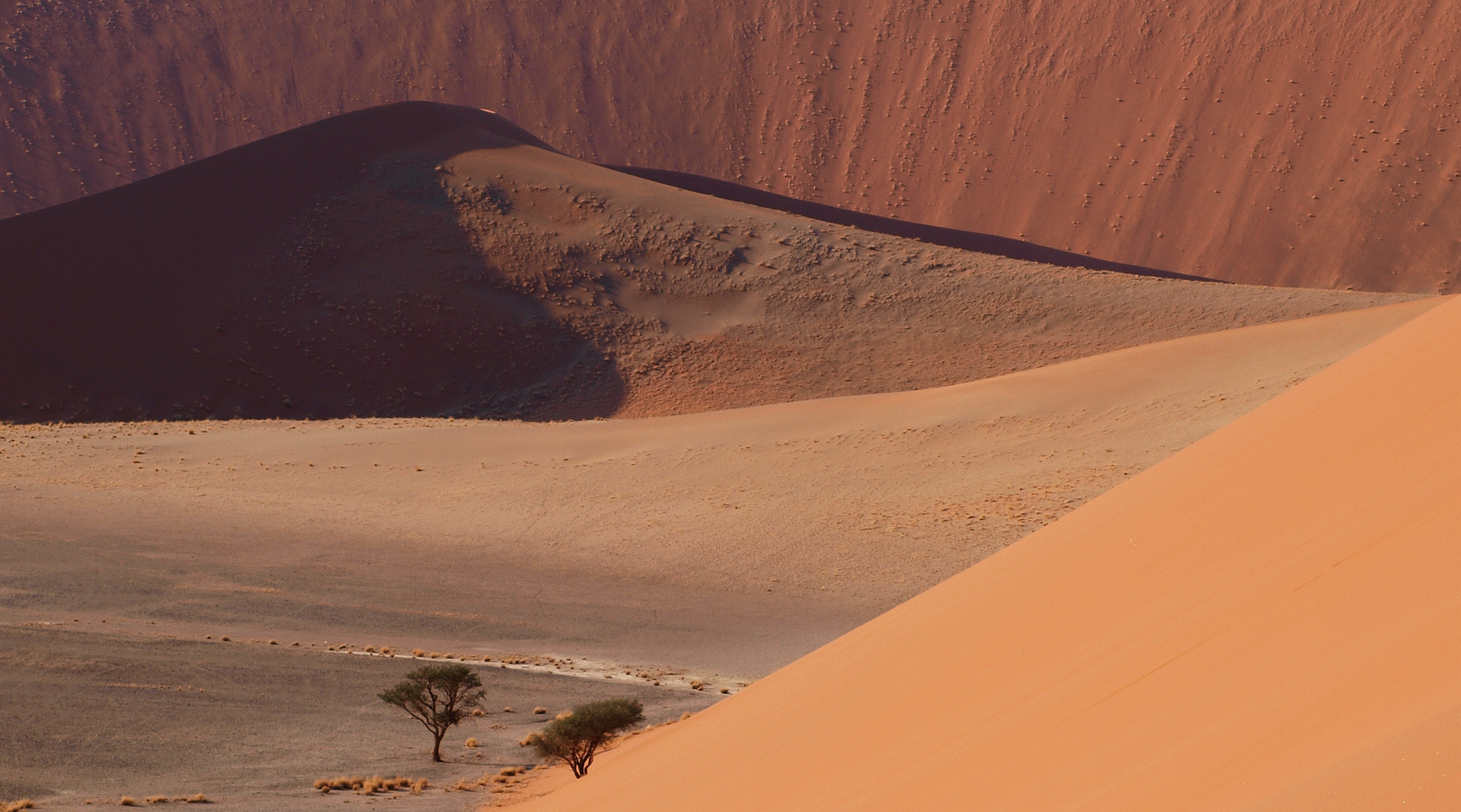 View from Dune 45 (Sossusvlei - Namibia)