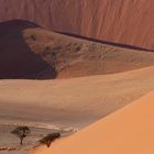 View from Dune 45 (Sossusvlei - Namibia)