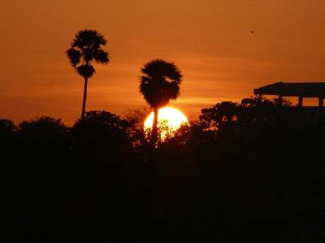 view from Kandawgyi Palace