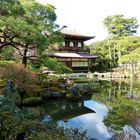 View from Kinkaku Ji