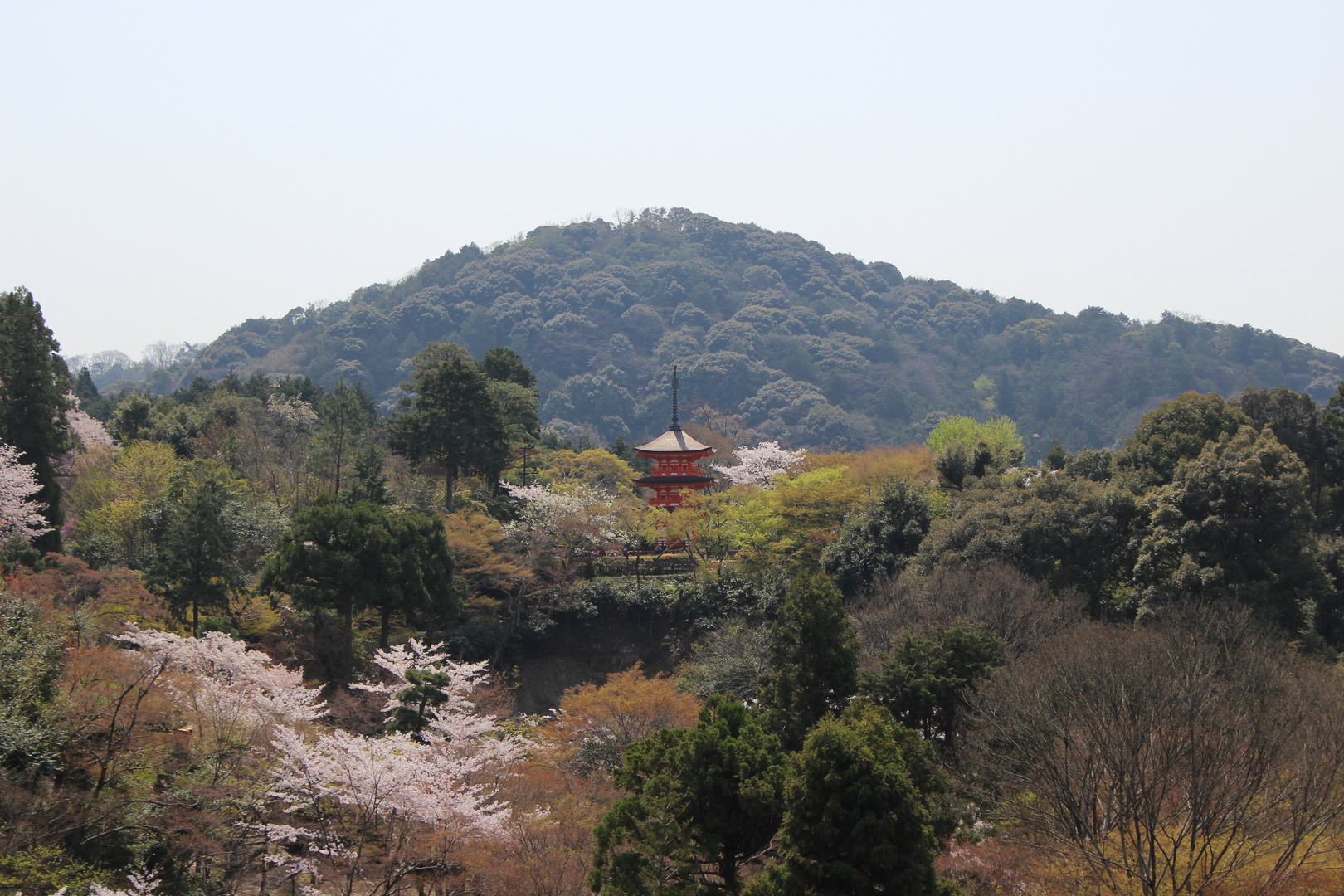 View from Kiyomizu-dera