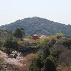 View from Kiyomizu-dera