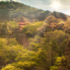 View from Kiyomizu-dera temple