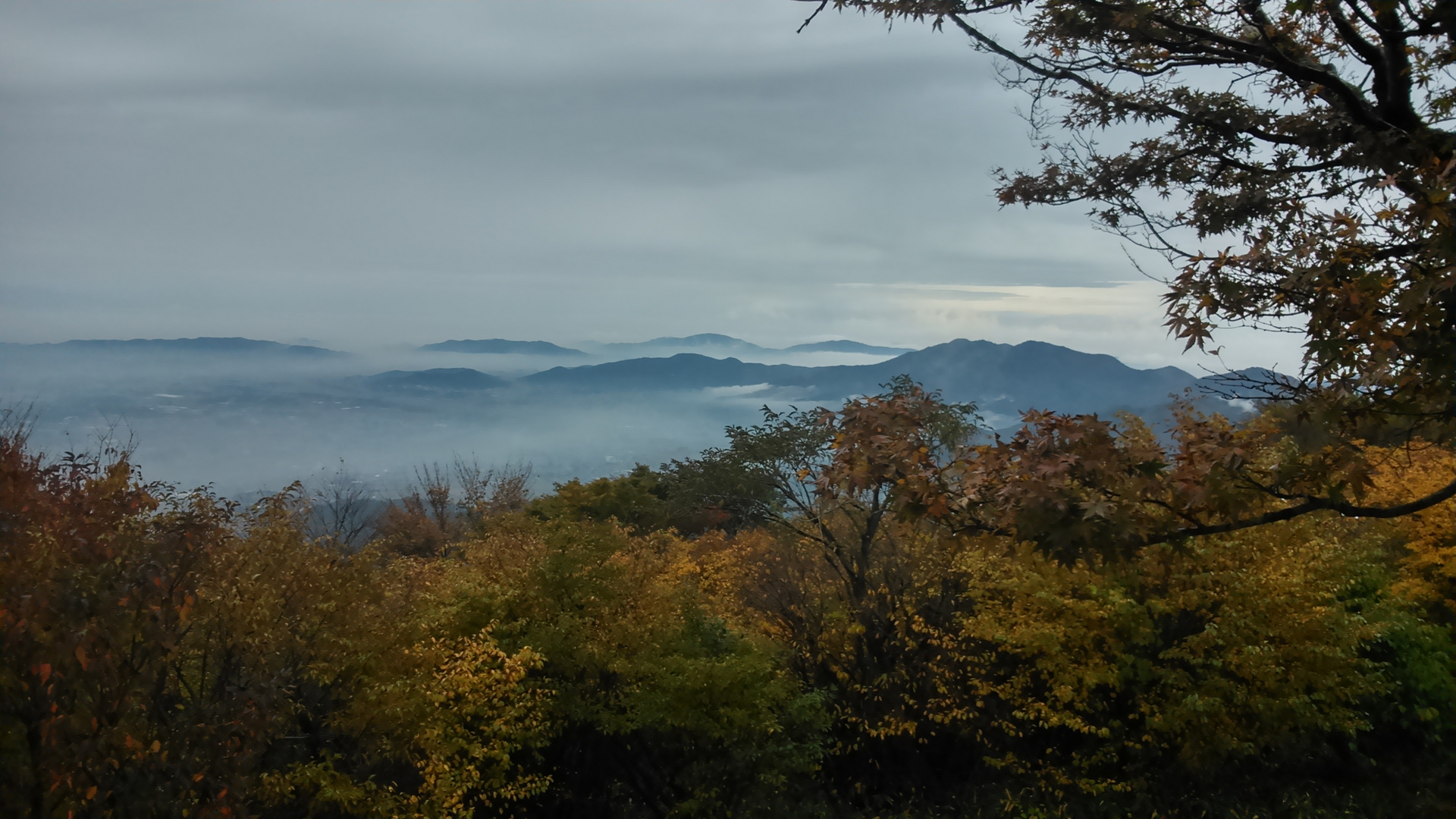 View from Mount Tsukuba