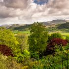 "View from Muncaster Castle"