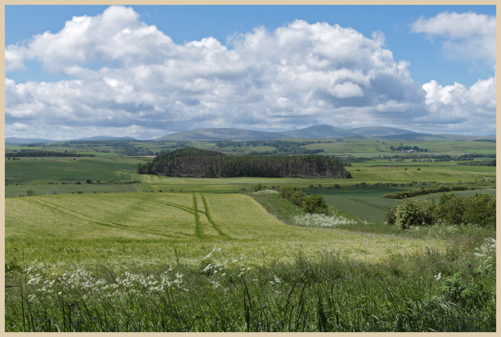 view from old bewick 5