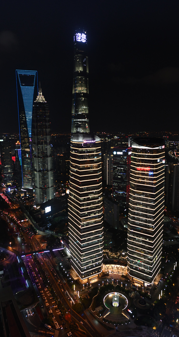 View from Oriental Pearl Tower