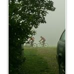 View from our driveway (bicycling in the fog)