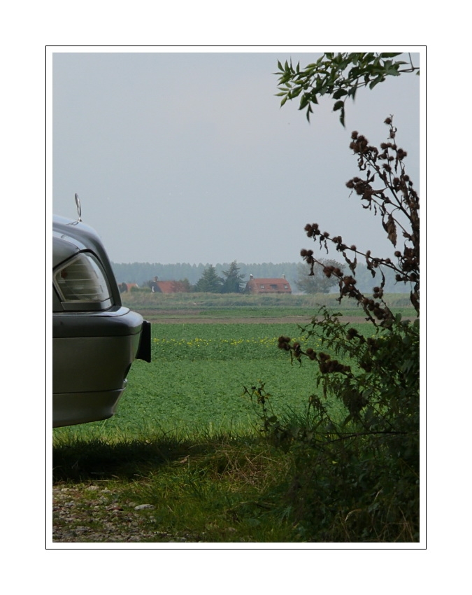 View from our driveway (looking into the distance over Oranjedijke onto polderland)