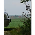 View from our driveway (looking into the distance over Oranjedijke onto polderland)