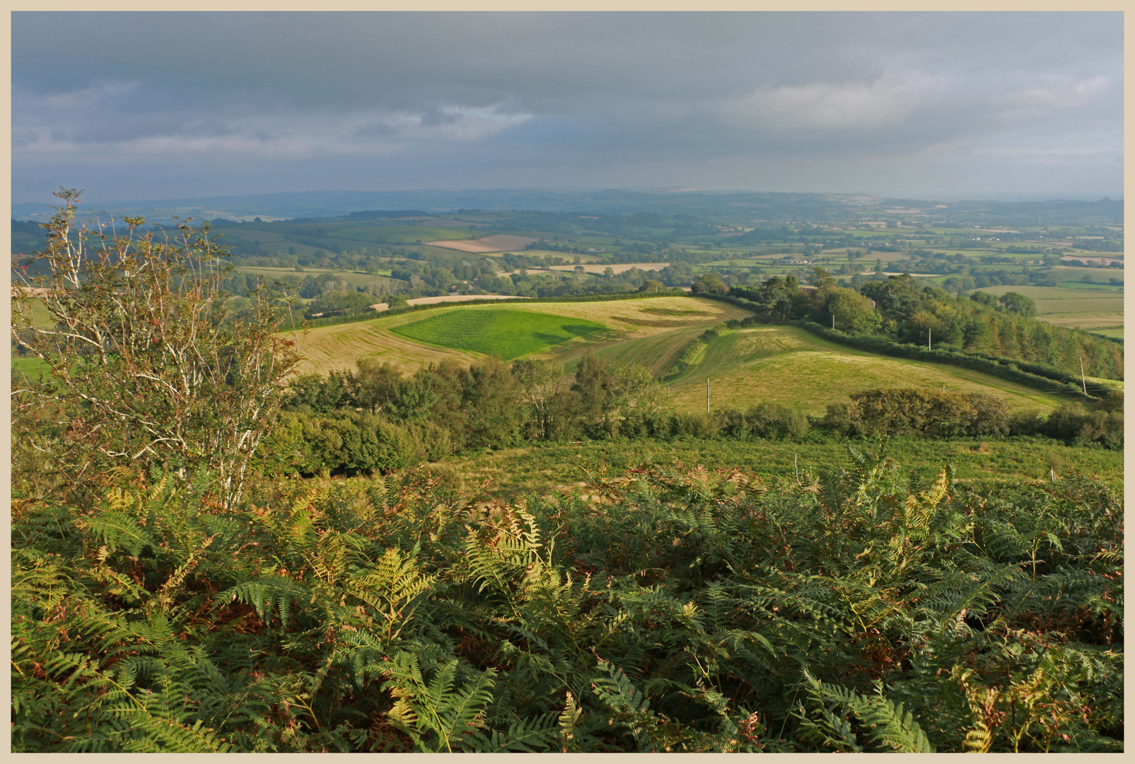 view from Pilsden Pen Dorset 5