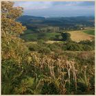 view from Pilsden Pen Dorset 6