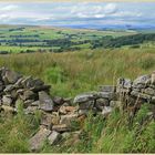 view from ridsdale 5