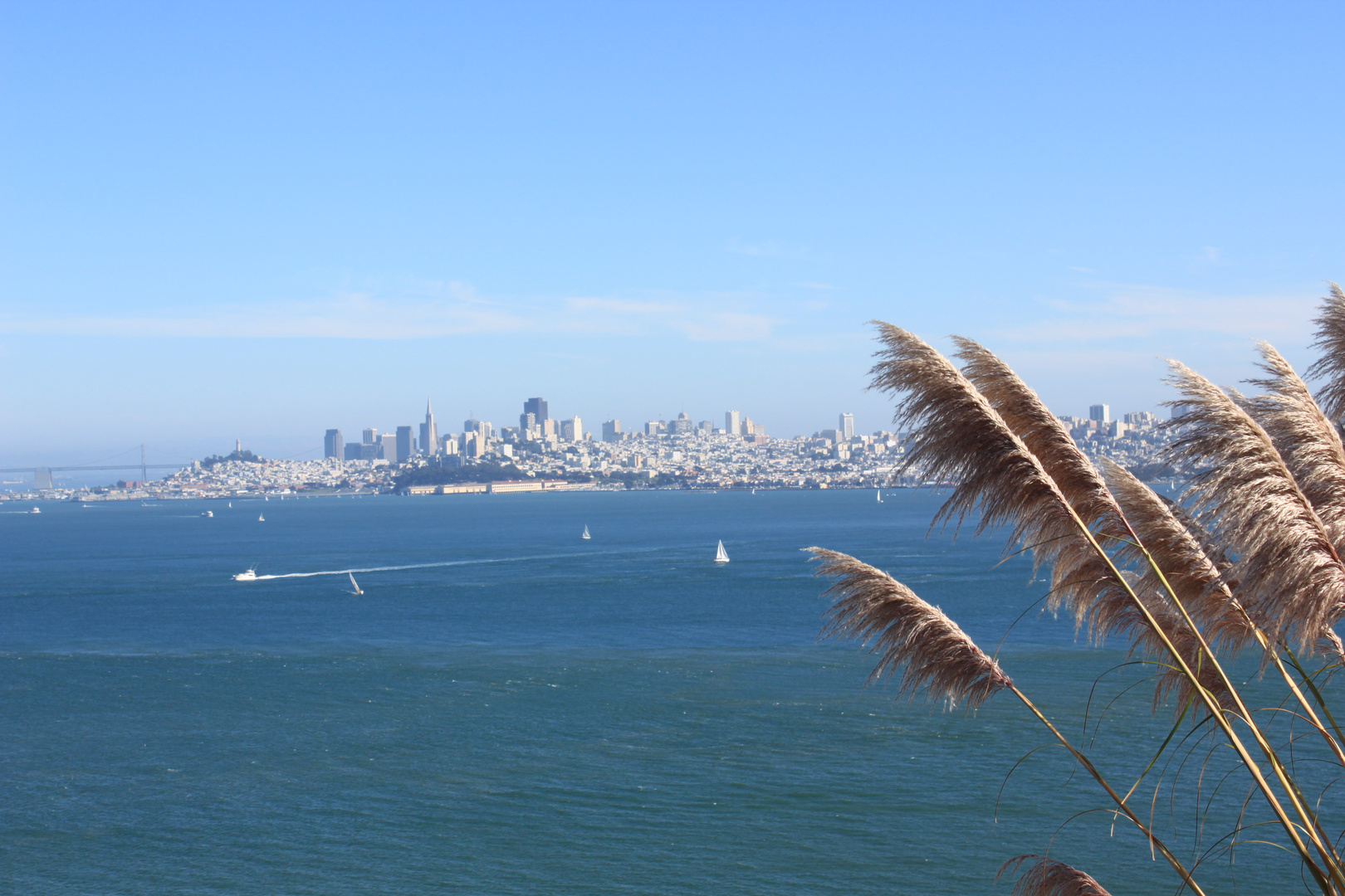 View from Sausalito