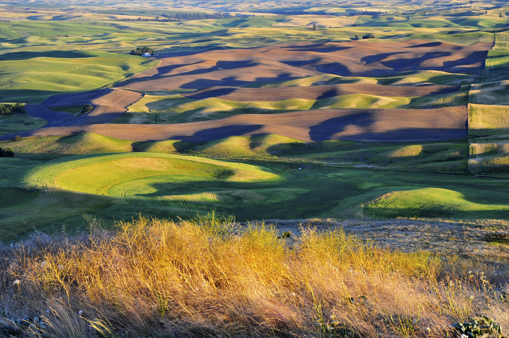 View from Steptoe Butte