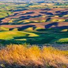 View from Steptoe Butte