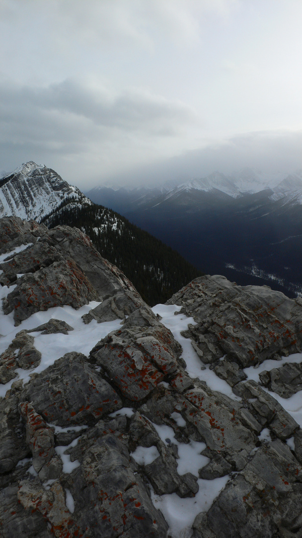 View from Sulpher Mountain, Banff, Canada