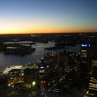 View from Sydney Tower 2