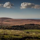 View from the bench