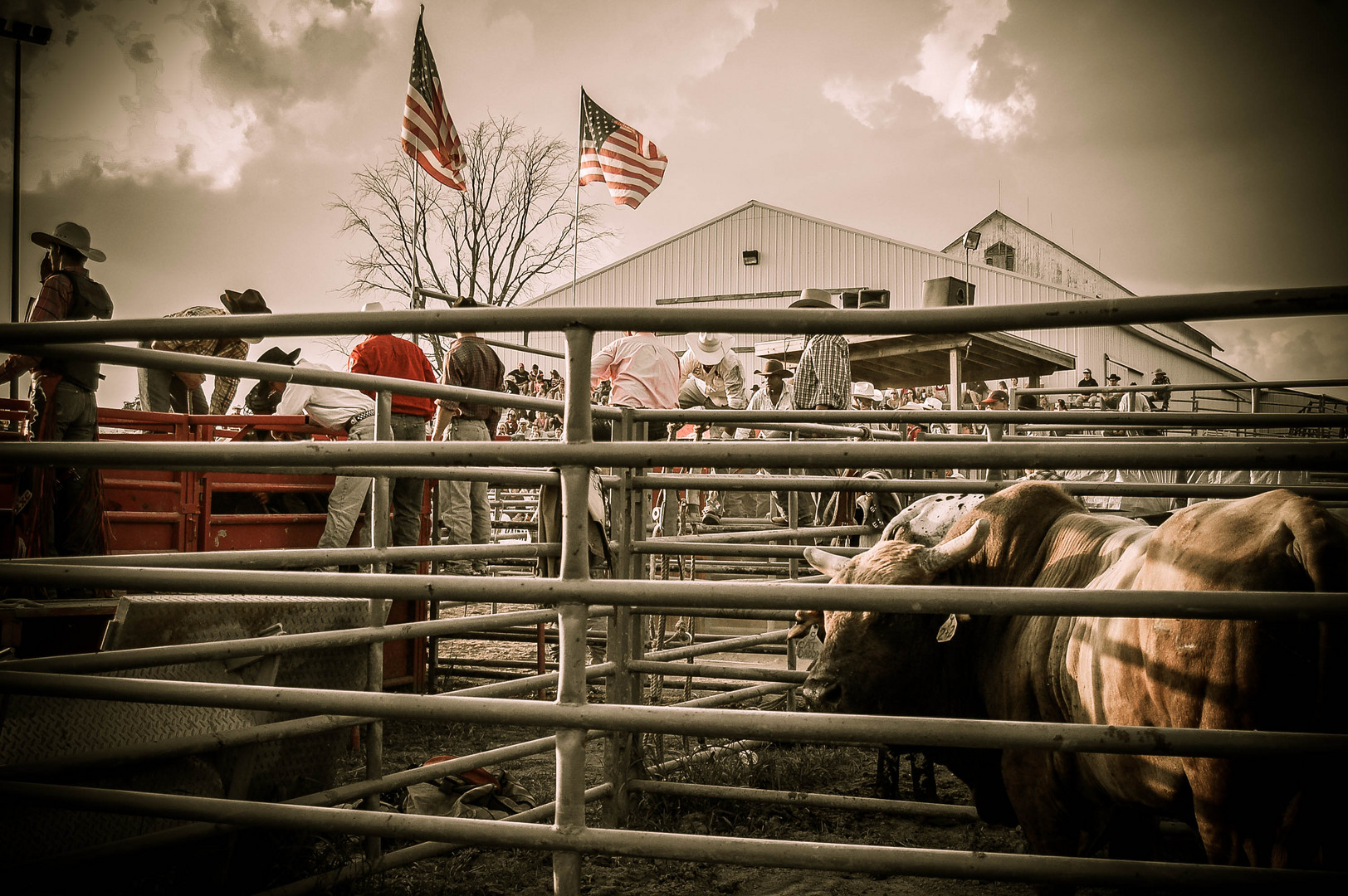 View from the Corral