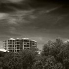 View from the Gardens Road, Darwin