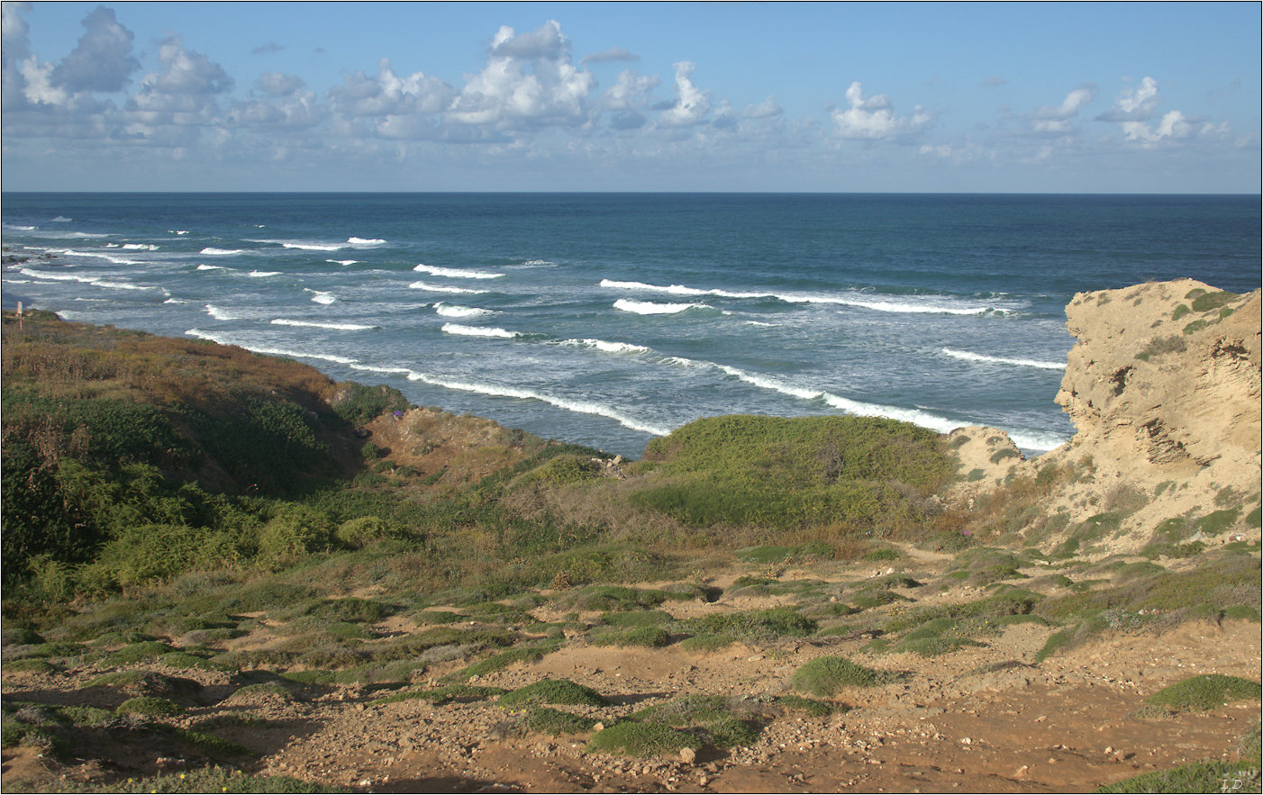 View from the heights