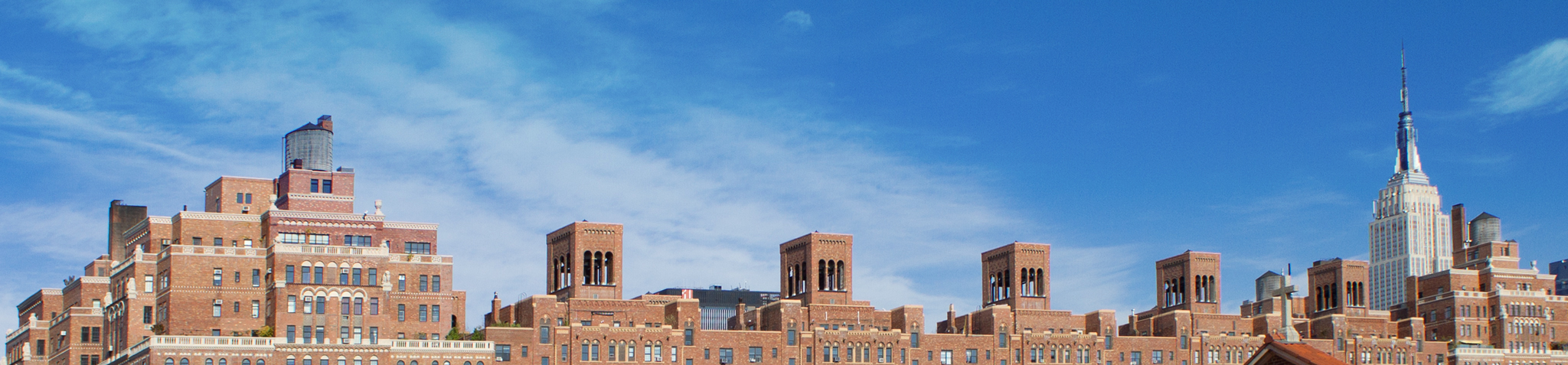 View from the High Line Park in New York.