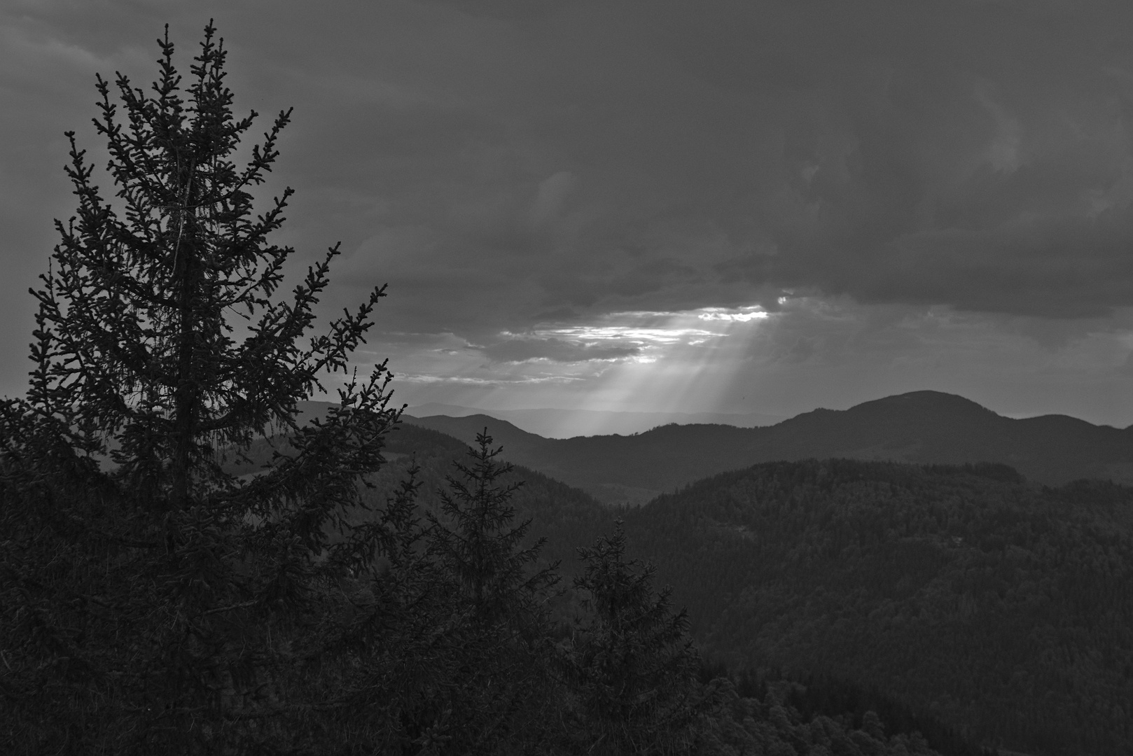 View from the "Hochkopf"