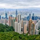 View from the Peak ( Honkong)