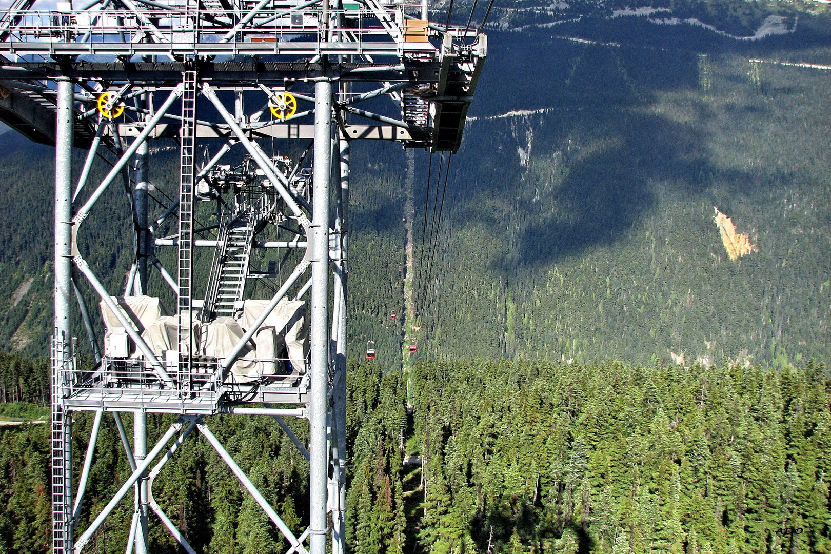 View from the Peak2Peak Gondola